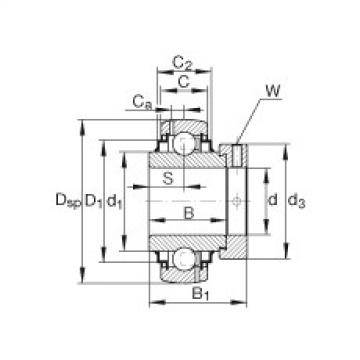 FAG Germany Radial insert ball bearings - G1010-KRR-B-AS2/V
