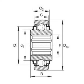 FAG Germany Self-aligning deep groove ball bearings - SK108-209-KRR-B-L402/70-AH11