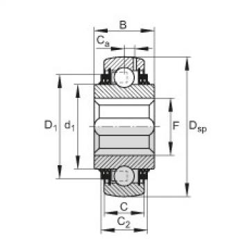 FAG Germany Self-aligning deep groove ball bearings - GVK100-208-KTT-B-AS2/V