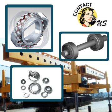 F-205156.6 Crescent Swing Bearing For Hydraulic Pump Width - 18mm