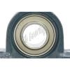 FYH 242/500CAF3/W33 Spherical roller bearing NAPK206-20 1 1/4&#034; Pillow Block eccentric locking collar Mounted Bearings #1 small image