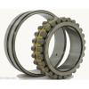NN3006MK Cylindrical Roller Bearing 30x55x19 Tapered Bore Bearings #8 small image