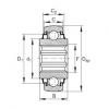 FAG Germany Self-aligning deep groove ball bearings - SK100-206-KRR-B-AH11 #1 small image
