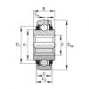 FAG Germany Self-aligning deep groove ball bearings - GVK100-208-KTT-B-AS2/V