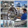 PLC44-203SH Cylindrical Roller Bearing 25x54x21mm