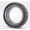 NN3006MK Cylindrical Roller Bearing 30x55x19 Tapered Bore Bearings #3 small image