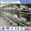 China supplier anping county high quality rabbit cages for farm #3 small image