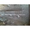 China newly design H type quail breeding cage #5 small image