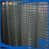haotong galvanized welded wire mesh factory in alibaba weld wire mesh dog cage #3 small image