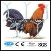 alibaba China wholesale CE&amp;ISO certificated chicken coop hexagonal wire mesh(pro manufacturer) #1 small image