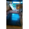 Ellie bo dog cage #3 small image