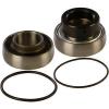 Lower   Drive Shaft Bearing &amp; Seal Kit Arctic Cat ZR 500 Cross Country 2002 #1 small image