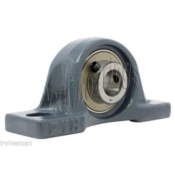 FYH FC74108400/YA3 Four row cylindrical roller bearings NAP207-22 1 3/8&#034; Pillow Block/eccentric locking #10 image
