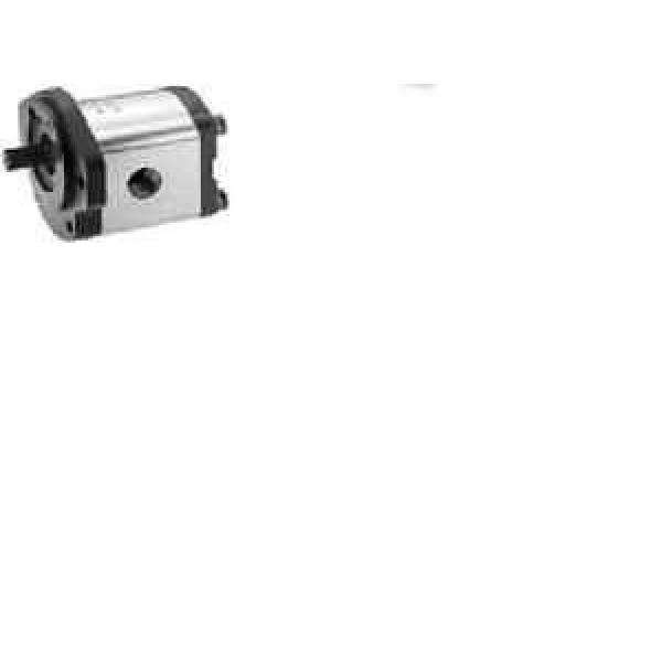 Bosch Rexroth External Gear Pump ,Type AZPF-10-016RQR-12MB #1 image