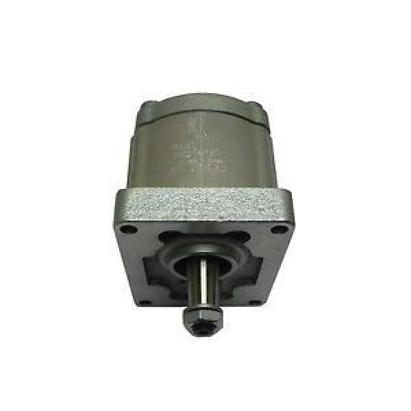 0510525074 AZPF-12-011RHO30KB Zahnradpumpe Bosch Rexroth Gear pump #1 image