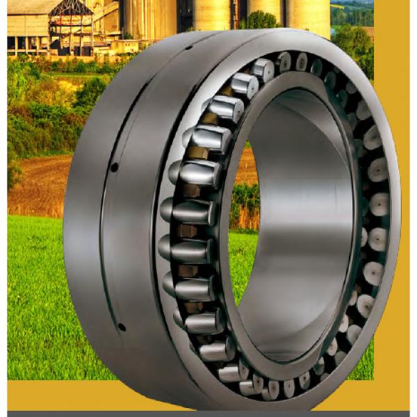 FCDP2243161150/YA6 Four row cylindrical roller bearings #1 image