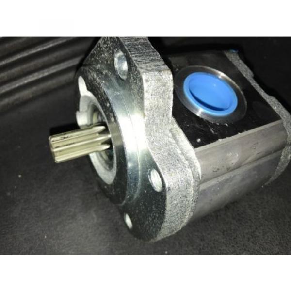 Hydraulic Pump Rexroth Gear 9510290040 15W17-7362 NEW #3 image