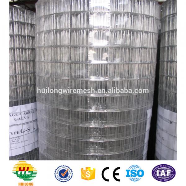 HIGH QUALITY / WELDED MESH ROLLS #1 image