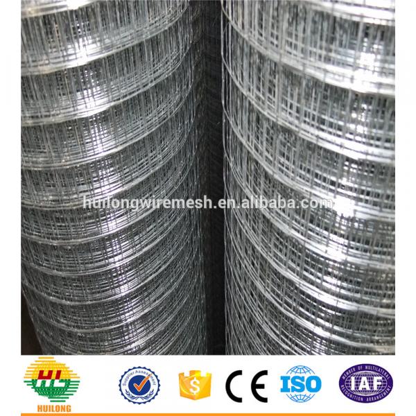 HIGH QUALITY / WELDED MESH ROLLS #2 image