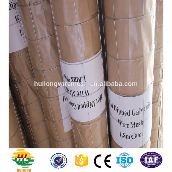 HIGH QUALITY / WELDED MESH ROLLS #3 image