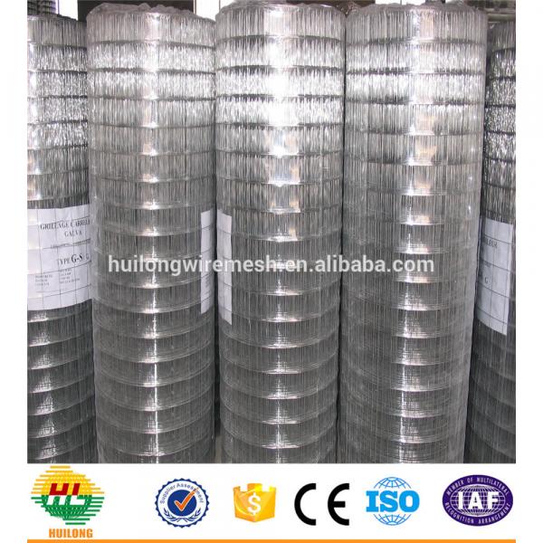 MANUFACTURE FOR GI WELDED WIRE MESH/WIRE MESH FACTORY #2 image