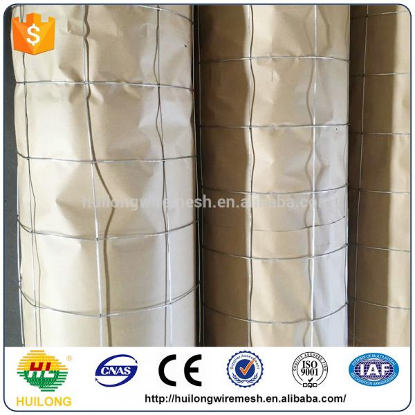 Factory Direct Bird Cage Iron Welded Wire Mesh Roll Italy Maeket #3 image