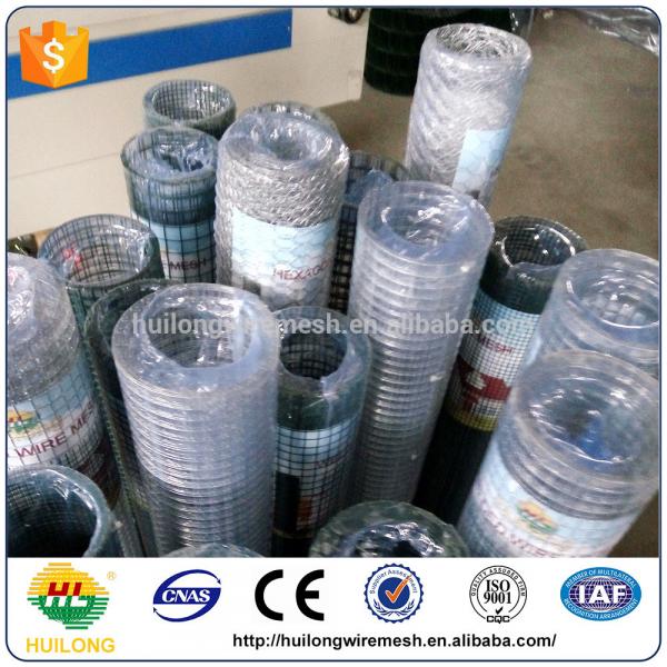 Factory Direct Bird Cage Iron Welded Wire Mesh Roll Italy Maeket #4 image