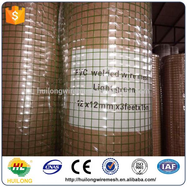 Factory Direct Bird Cage Iron Welded Wire Mesh Roll Italy Maeket #5 image