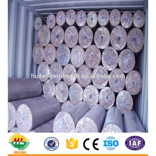 WELDED MESH TYPE SQUARE HOLE SHAPE GI WELDED WIRE MESH #1 image