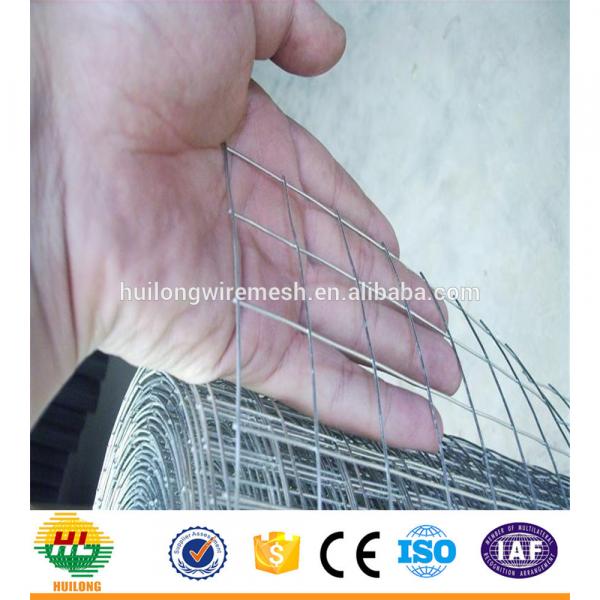 WELDED MESH TYPE SQUARE HOLE SHAPE GI WELDED WIRE MESH #3 image