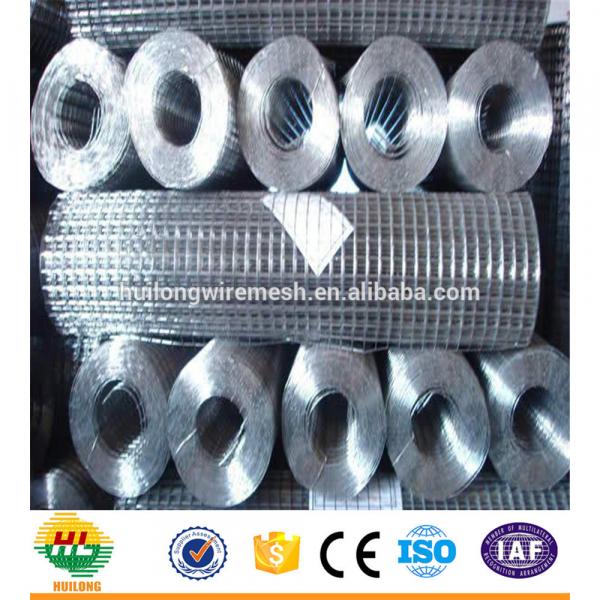 WELDED MESH TYPE SQUARE HOLE SHAPE GI WELDED WIRE MESH #4 image