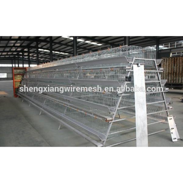 hightop chicken cage by chinese factory #2 image
