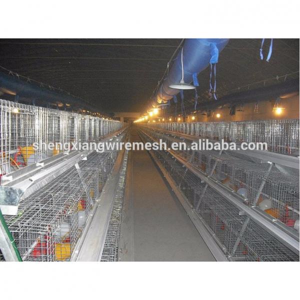 hightop chicken cage by chinese factory #5 image