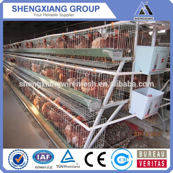 2017! Aliaba com China Supplier A type Chicken cage for hot sale #2 image
