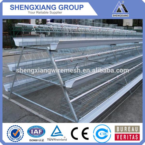 2017 China Supplier Galvanized Chicken Cage for hot sale #1 image