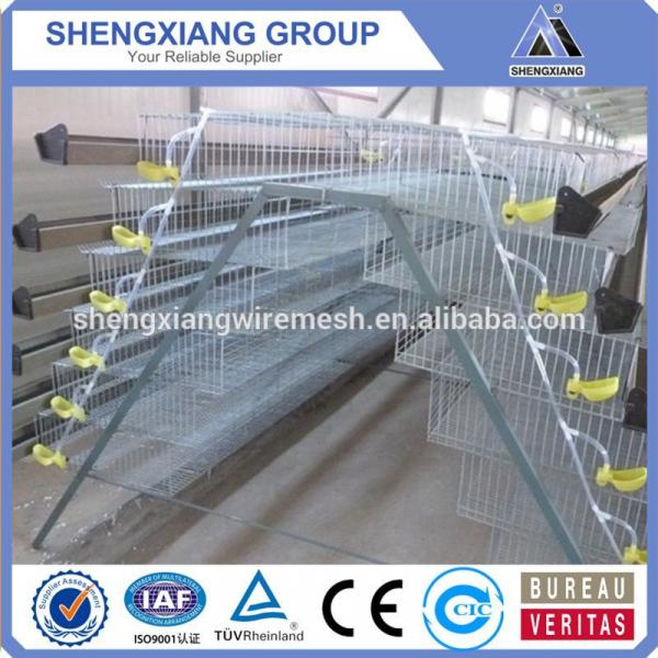 2017 China Supplier new design quail cage/animal cage/breeding cage for hot sale #1 image