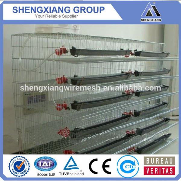 2017 China Supplier new design quail cage/animal cage/breeding cage for hot sale #2 image