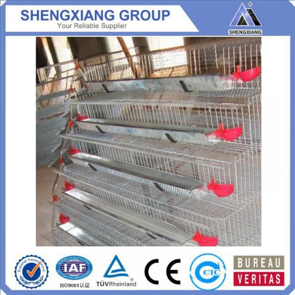 Alibaba China supplier anping county hight Quality Animal Cages wire mesh quail cage exporter #1 image
