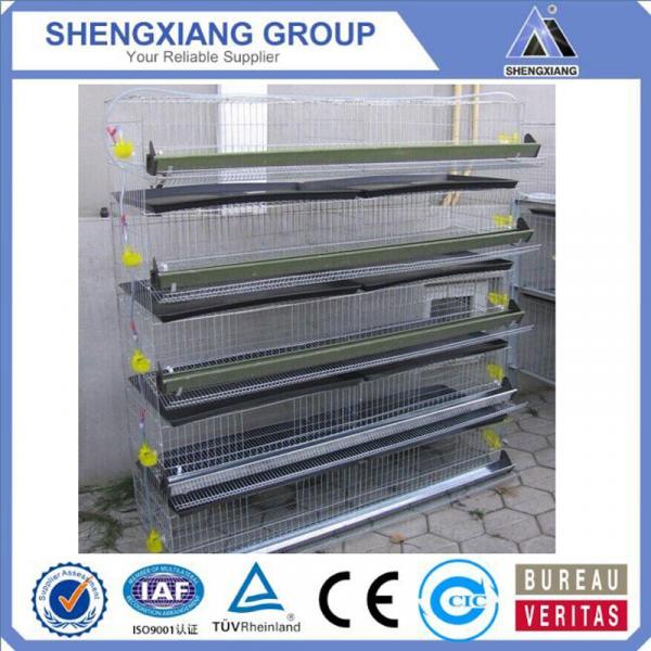 Alibaba China supplier anping county hight Quality Animal Cages wire mesh quail cage exporter #2 image