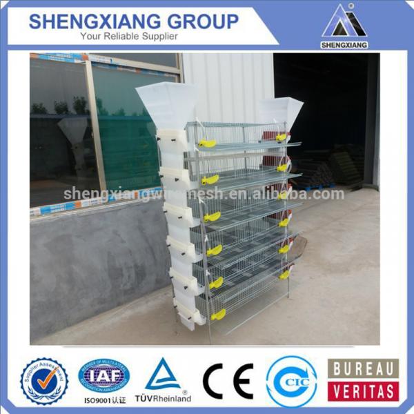 Alibaba China supplier anping county hight Quality Animal Cages wire mesh quail cage shop #4 image