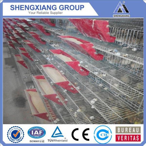 Alibaba China supplier anping county hight Quality Animal Cages wire mesh quail cage factory #2 image