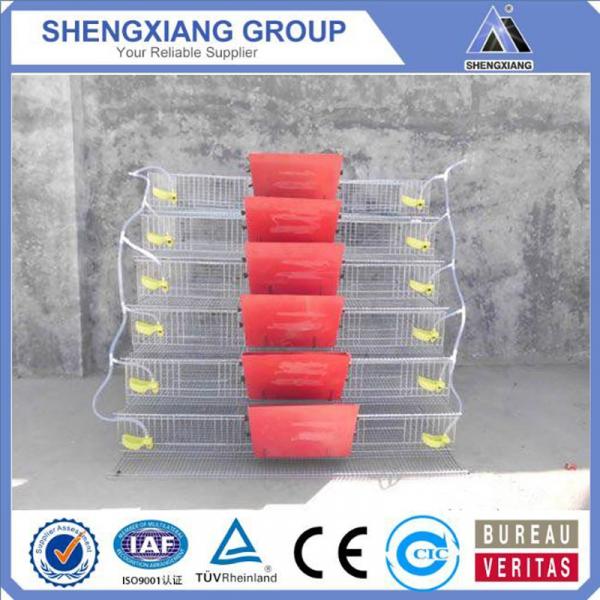 Alibaba China supplier anping county hight Quality Animal Cages wire mesh quail cage factory #4 image