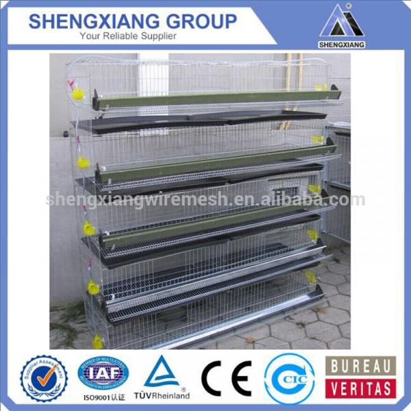 Alibaba China supplier hight Quality Animal Cages wire mesh quail cage manufacturer #1 image