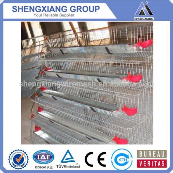 Alibaba China supplier hight Quality Animal Cages wire mesh quail cage manufacturer #3 image