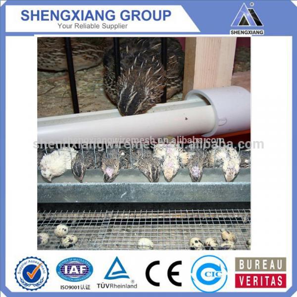 Alibaba China supplier hight Quality Animal Cages wire mesh quail cage manufacturer #4 image