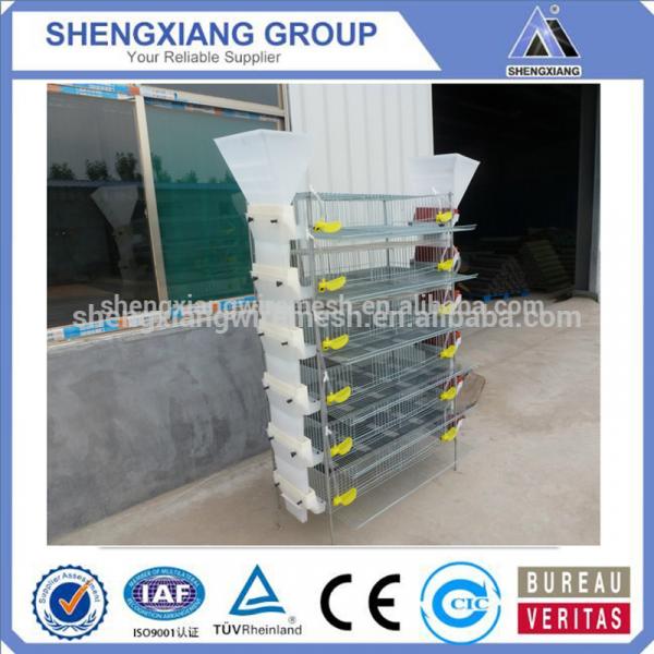 Alibaba China supplier hight Quality Animal Cages wire mesh quail cage manufacturer #5 image