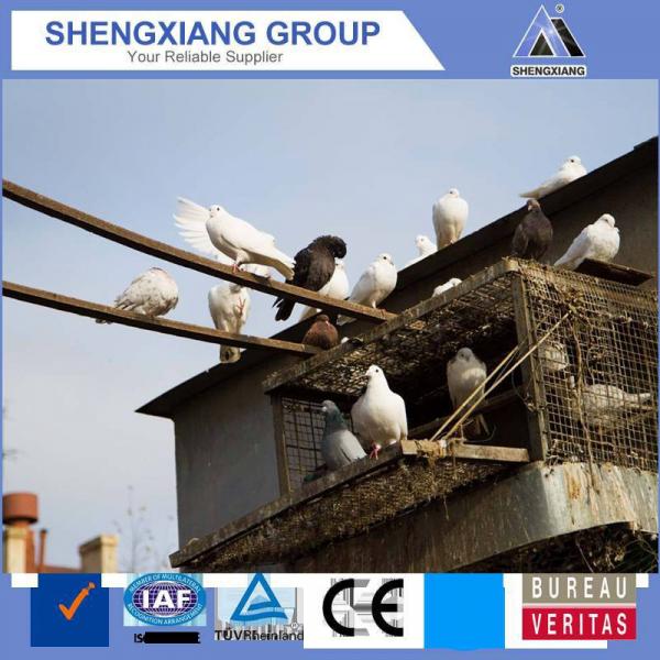 racing pigeon breeding cage by chinese factory #1 image