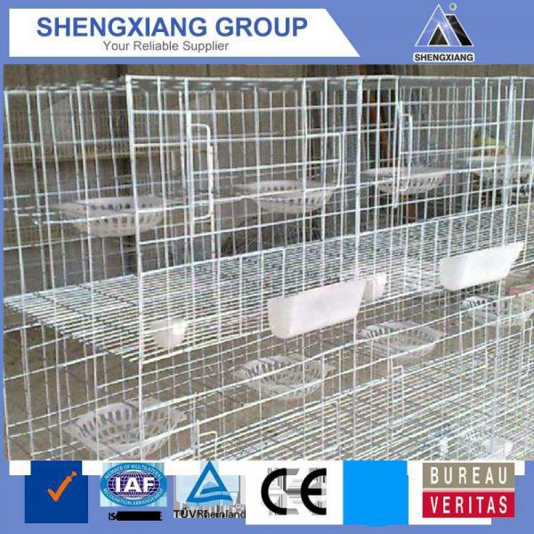 racing pigeon breeding cage by chinese factory #2 image