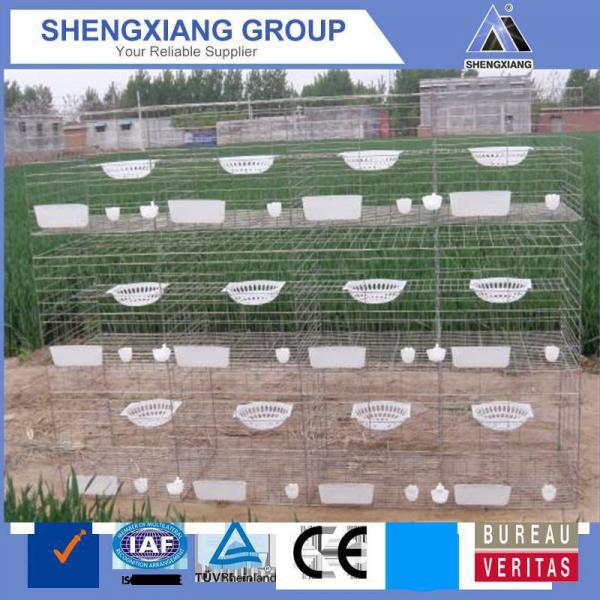racing pigeon breeding cage by chinese factory #3 image