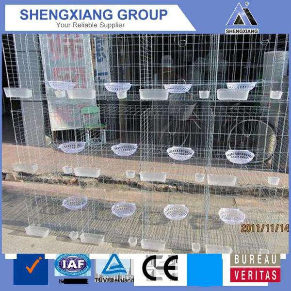 racing pigeon breeding cage by chinese factory #4 image
